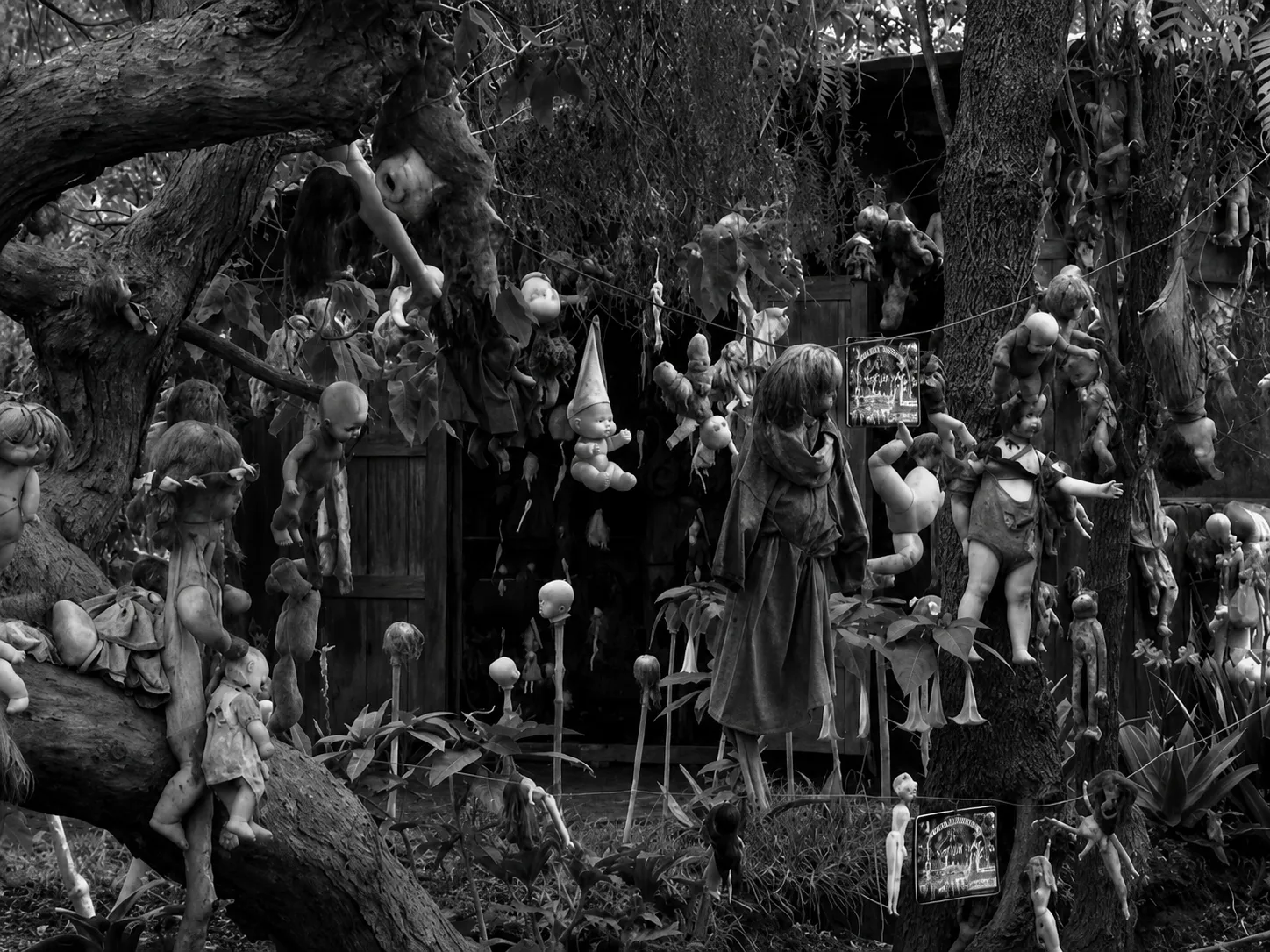 The-Island-of-the-Dolls The Island of the Dolls evil dolls
